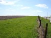 DSC01123.JPG