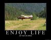 Get High on Grass.jpg