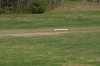 Killdeer567.jpg