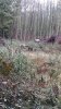 20141122_131450.jpg