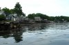 DSC06417(1).JPG