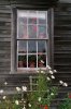 Olson House Geraniums.jpg