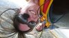Laura UpSideDown.jpg
