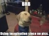 dog.jpg