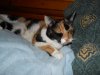 DSCN0852.JPG