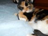 DSCN0858.JPG