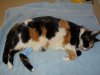 DSCN0861.JPG