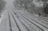 snow-1 sm.jpg
