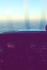 Morning Flight.jpg