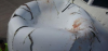 0e69b5d7e61e8f62f978d5fbee3c4c8ef88c6db5.png