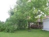 SycamoreWindDamage2Small.jpg