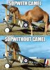 SOP w & w-o Camel.jpg