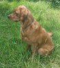 Cami - 7-12-2015 - 620x550.jpg
