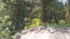 20150503_123956.jpg