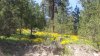 20150503_124039.jpg