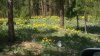 20150503_141306.jpg