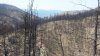 20150503_133557.jpg