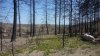 20150503_143009.jpg