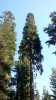 20150911_145007.jpg