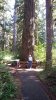 20150911_145242.jpg