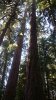 20150911_145422.jpg