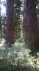 20150911_145428.jpg