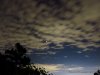 IMG_5286.JPG