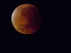 DSCN2570.JPG