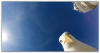 Screen Shot 10-02-15 at 03.21 PM.PNG