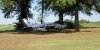 Bruce taxiing by pumpkin (1013 x 511).jpg