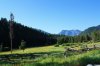 Big creek meadow..jpg