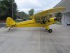 cub1.jpg