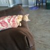 image.jpeg