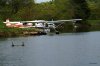 DSC04029 (L).JPG