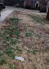 20151220_083517.jpg