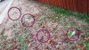 20151220_083445.jpg