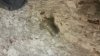 20160222_064921.jpg