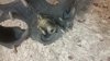 20160222_064934.jpg