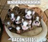 ImageUploadedByTapatalk1456551296.809132.jpg