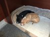 IMG_4314.jpg IMG_4314.jpg
