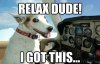 Relax-Dude.jpg