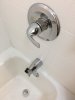 Tub Bidet.JPG