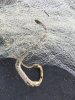 Snake Net.JPG