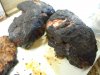 DSCN2763.JPG