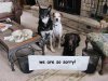 we are so sorry.JPG