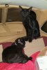 rps20160626_104621.jpg rps20160626_104621.jpg