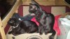 rps20160625_085825.jpg rps20160625_085825.jpg
