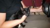 rps20160703_224415.jpg rps20160703_224415.jpg