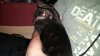 rps20160625_090234.jpg rps20160625_090234.jpg
