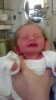 image.jpeg